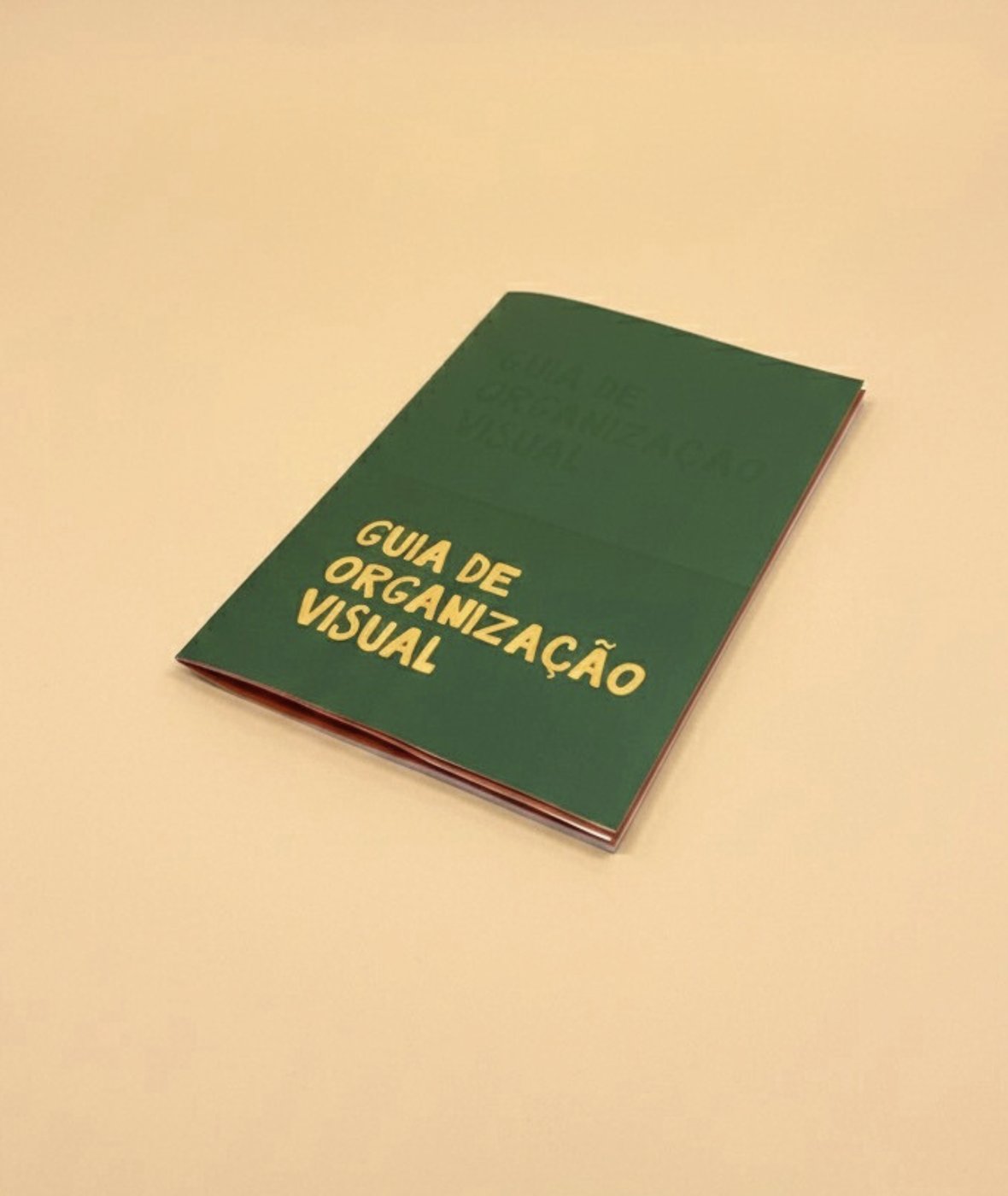Capa do manual de organização visual